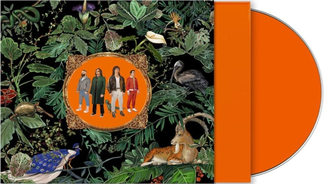 Amazing Things Orange In Slipcase