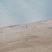 Eight Waves In Search Of An Oc