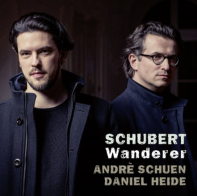 Schubert. Wanderer