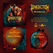 Stormcrow (shaped Picture Disc)