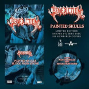 Painted Skulls Shaped Picture Disc