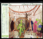 Criterion Of The Senses