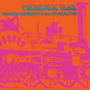 Psychedelic Train Expanded Edition