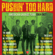 Pushin Too Hard - American Garage Punk 1