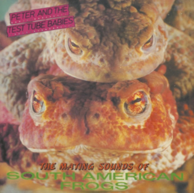 The Mating Sounds Of South American Frog