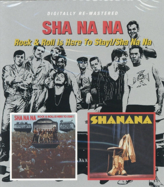 Rock & Roll Is Here To Stay / Sha Na Na