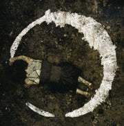 Ocular Unveil