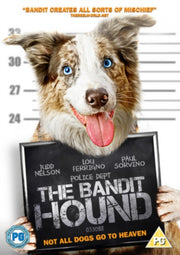 Bandit Hound