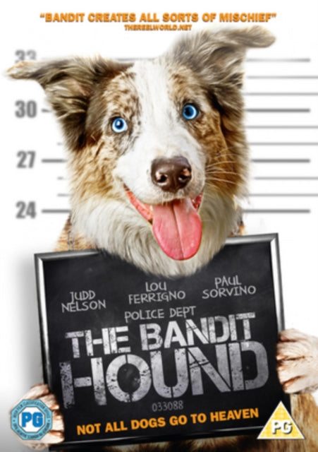 Bandit Hound