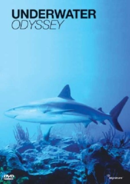 Underwater Odyssey