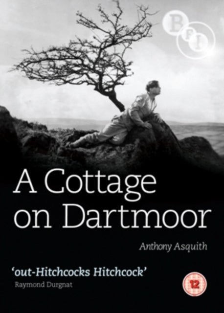 Cottage On Dartmoor