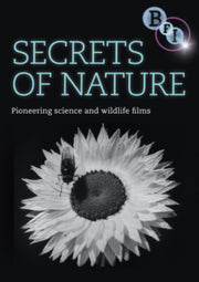 Secrets Of Nature