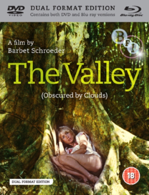 Valley. The Obcured By Clouds