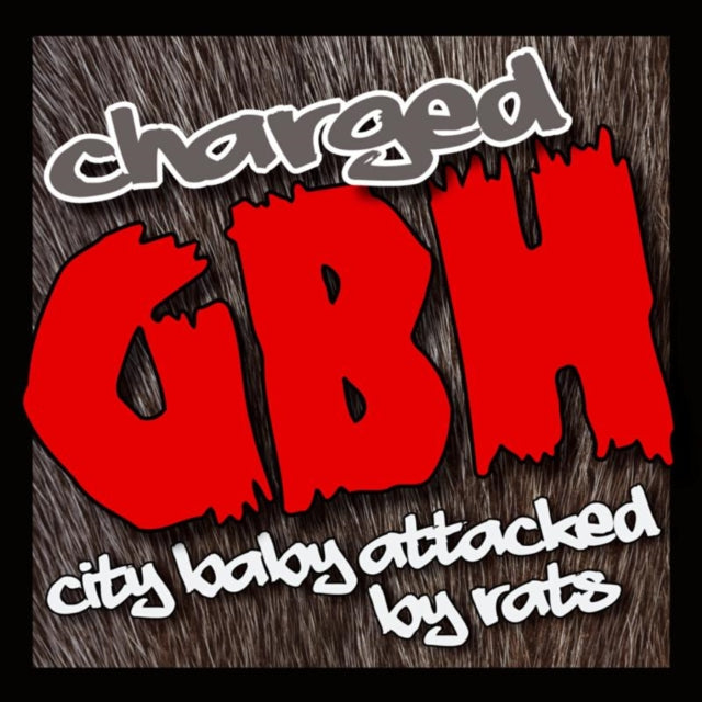 City Baby Attacked By Rats