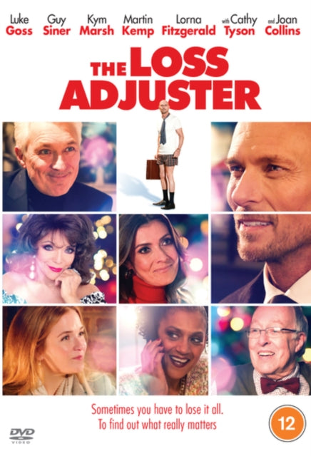 Loss Adjuster. The
