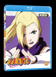 Naruto - Standard Edition Vol. 8