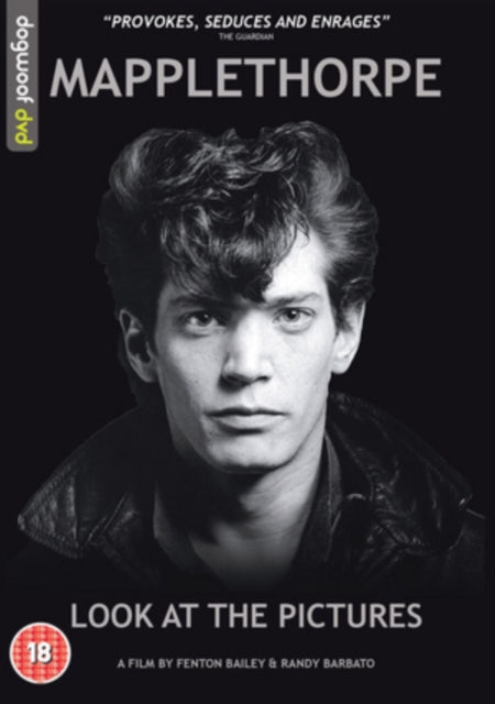 Mapplethorpe Look At The Pictures