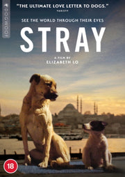 Stray
