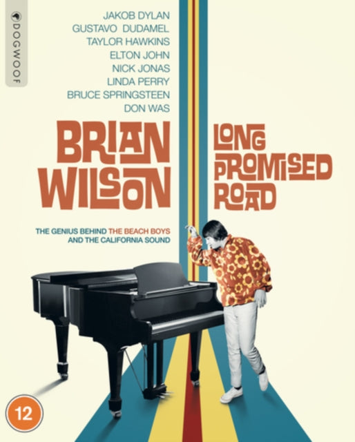 Brian Wilson A Long Promised Road