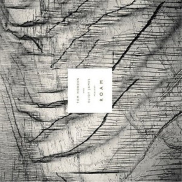 Tom Hobden & Eliot James Present Roam