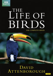 David Attenborough The Life Of Birds