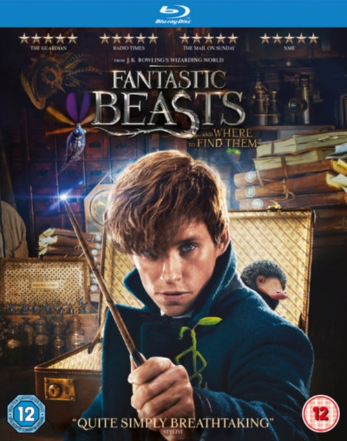 Fantastic Beasts And Where To Find Them