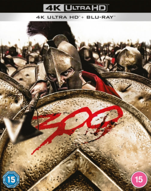 300 2006