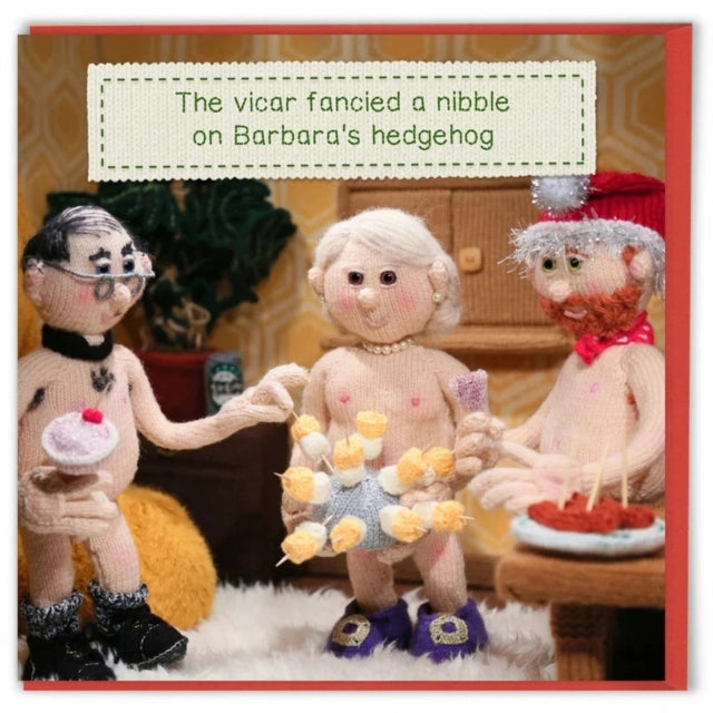 Barbaras Hedgehog By Nudinits