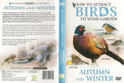 How To Attract Birds To Your Garden Autu