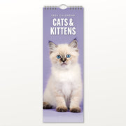 Cats Kittens 2026 Slimline Calendar