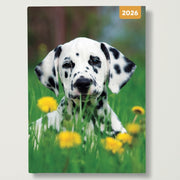 Adorable Dogs 2026 A5 Padded Diary