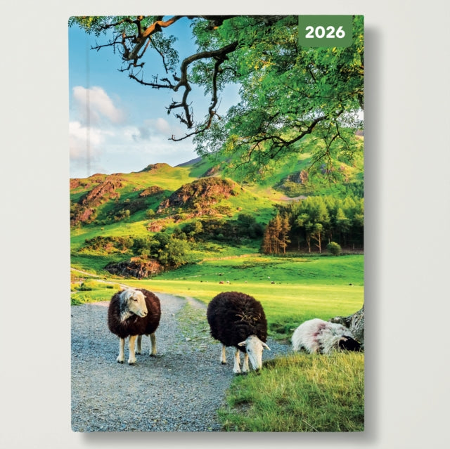 Country Scenes 2026 A5 Padded Diary