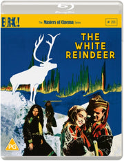 White Reindeer. The