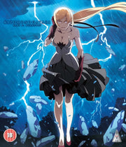 Kizumonogatari Nekketsu Standard Edition