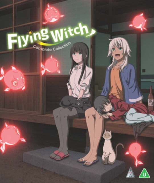 Flying Witch Standard Edition