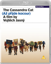 Cassandra Cat. The