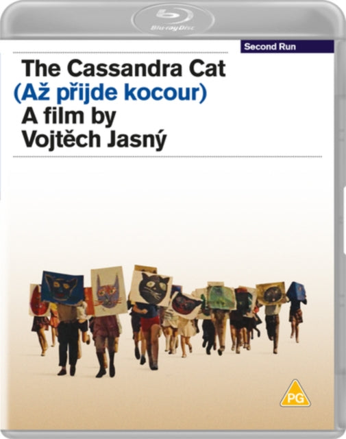 Cassandra Cat. The