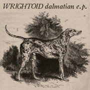 Dalmatian