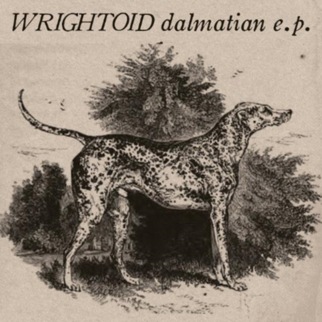 Dalmatian