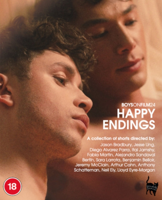 Boys On Film 24 Happy Endings