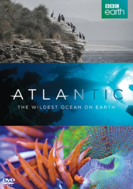Atlanticwildest Ocean On Earth Bbc