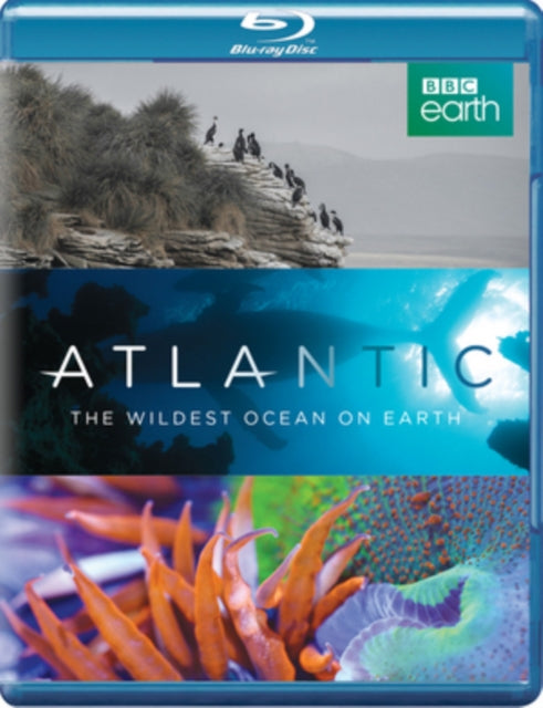 Atlantic Wildest Ocean On Earth