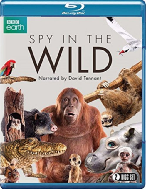 Spy In The Wild Blu-ray