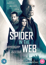 Spider In The Web