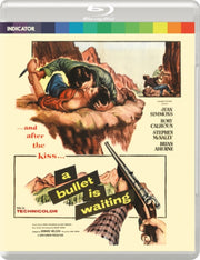 A Bullet Is Waiting