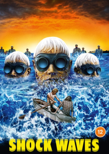 Shock Waves