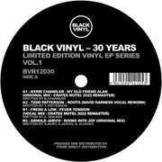 Black Vinyl 30 Years
