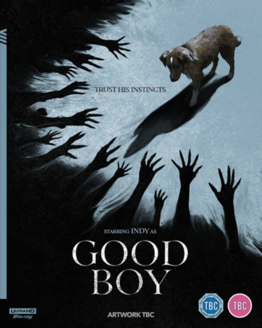 Good Boy