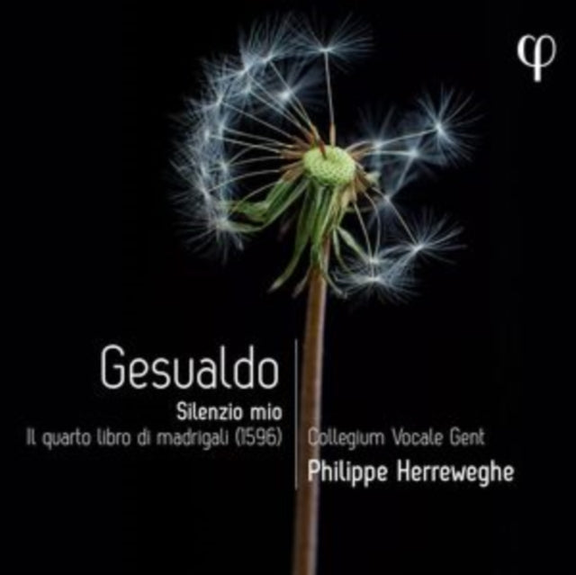 Gesualdo Silenzio Mio. Il Quarto Libro D