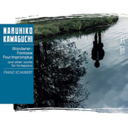 Schubert Wanderer-fantasie / Four Improm